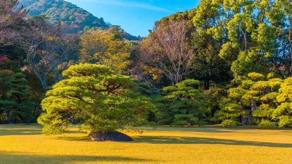 Ise Jingu Naiku(Ise Grand shrine-inner shrine) w Ise City, prefekturze Mie w Japonii — Zdjęcie stockowe