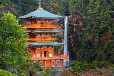 Pagoda Seiganto-ji Tapınağı: Wakayama, Japan