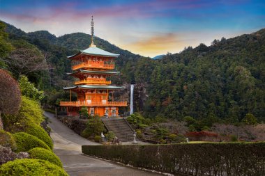  Nachi Katsuura Wakayama, Japonya, Seiganto-ji Tapınağı Pagoda