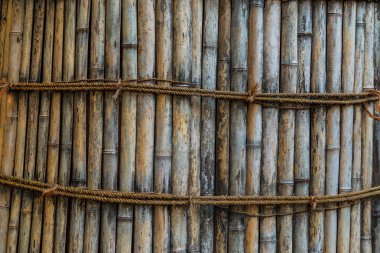 İMKB-jingu Tapınak, çam ağaçları korumak için kullanılan bambu