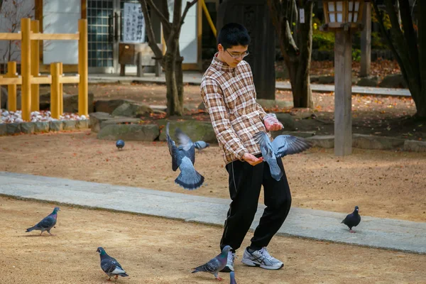 Японський хлопець з голубами — стокове фото
