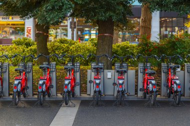 Japon deniz polis gücü Japonya'nın Yokohama limanında