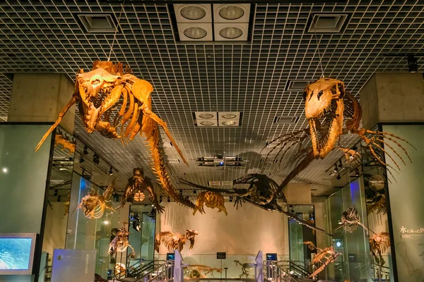 Национальный музей природы и науки в Токио, Япония — стоковое фото
