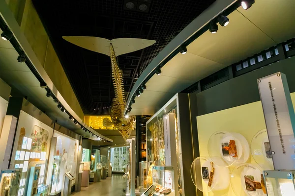 National Museum of Nature and Science in Tokyo, Japan — Stock Photo, Image