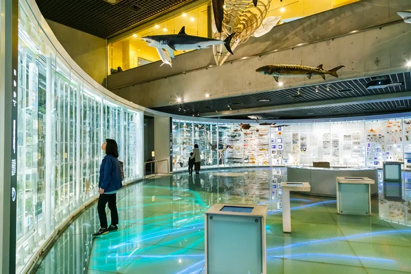 National Museum of Nature and Science in Tokyo, Japan — Stock Photo, Image