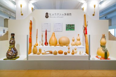 Tokyo, Japonya - 25 Kasım 2015: Kabak sanat çeşitli tür ve 