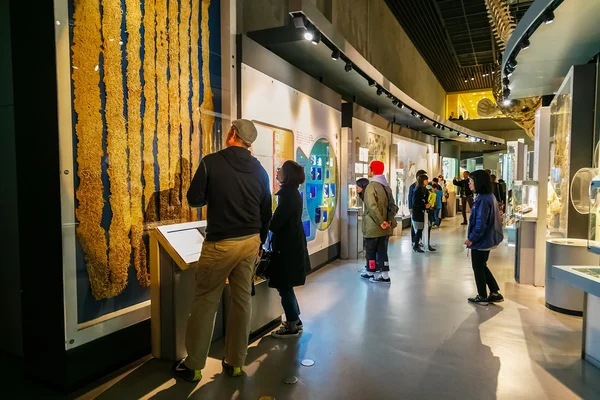 National Museum of Nature and Science in Tokyo, Japan — Stock Photo, Image