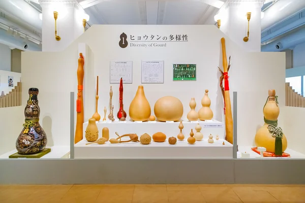 2015 年 11 月 25 日 - 東京都: 各種ひょうたんの芸術と — ストック写真