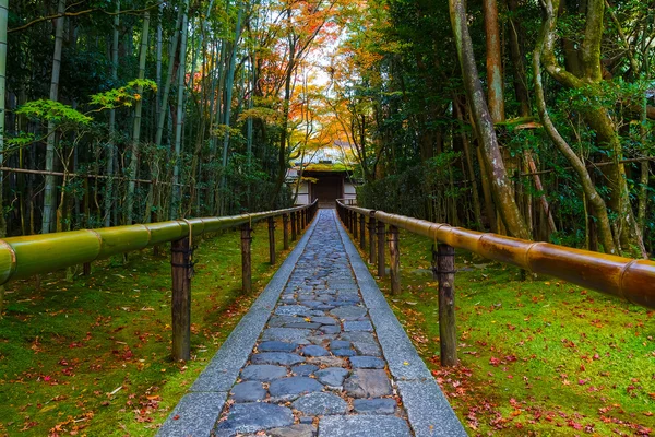 Осень в храме Даитокудзи Кото-ин в Киото, Япония — стоковое фото