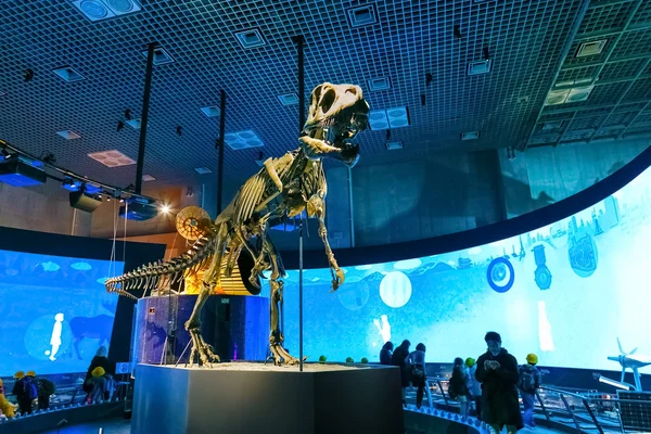 Museo Nacional de la Naturaleza y la Ciencia en Tokio, Japón —  Fotos de Stock