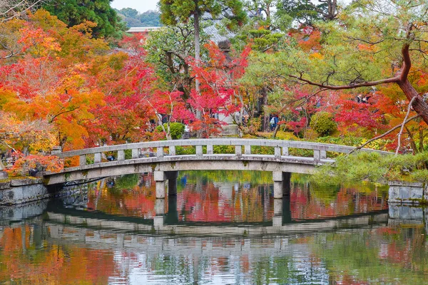 Eikando Zenrinji Rozciągacz w Kioto, Japonia — Zdjęcie stockowe