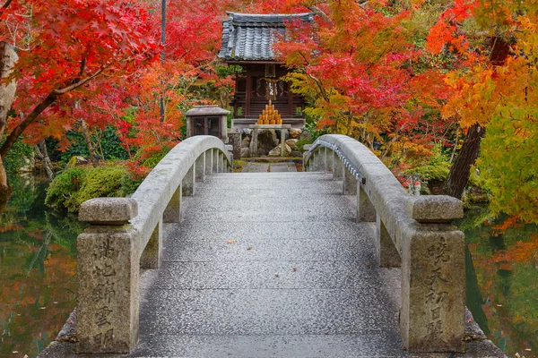 Це являє собою осінні в Кіото, Японія — стокове фото