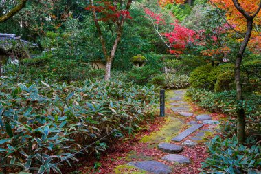 Koto-in sonbahar bir alt tapınak Daitokuji Tapınağı: Kyoto, Japan