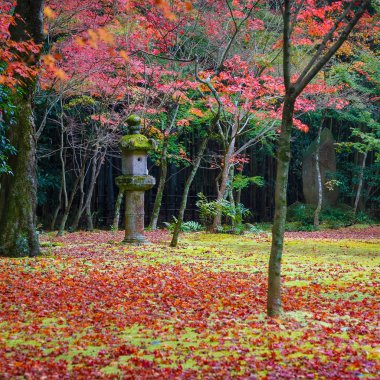 Koto-in sonbahar bir alt tapınak Daitokuji Tapınağı: Kyoto, Japan