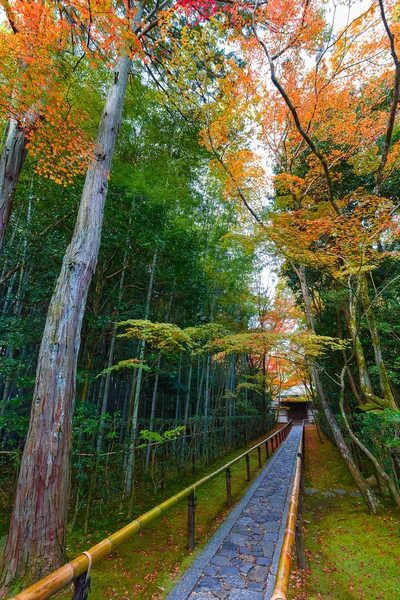 Осень в храме Даитокудзи Кото-ин в Киото, Япония — стоковое фото
