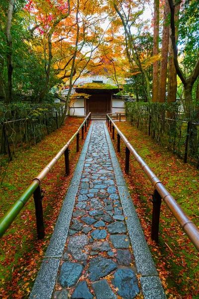 Autunno a Koto-in un Sotto Tempio del Tempio Daitokuji a Kyoto, Giappone — Foto Stock