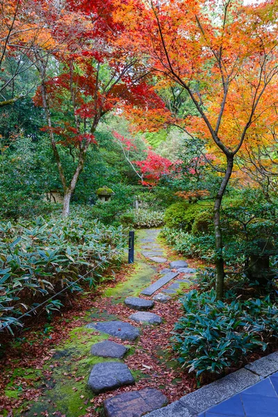 Herfst bij de Koto-in een Sub-tempel van Daitokuji tempel in Kyoto, Japan — Stockfoto