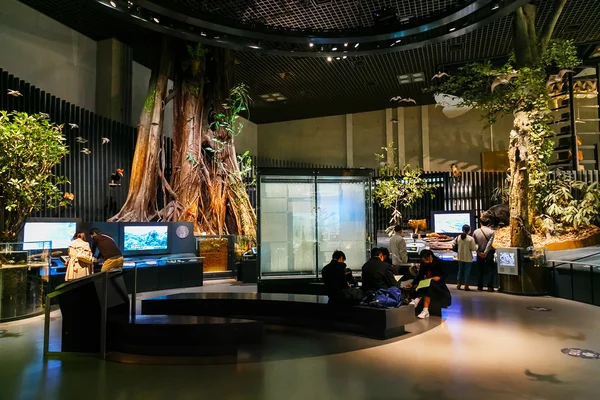 Nationale museum van natuur en wetenschap in tokyo, japan — Stockfoto