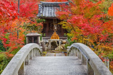 Eikando Zenrinji Tapınağı: Kyoto, Japan