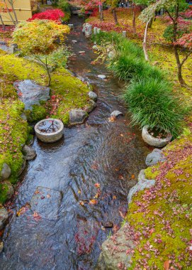 Eikando Zenrinji Tapınağı: Kyoto, Japan