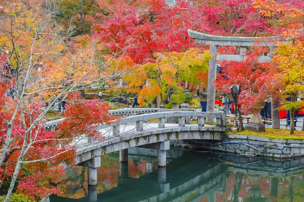 Eikando Zenrinji Rozciągacz w Kioto, Japonia — Zdjęcie stockowe