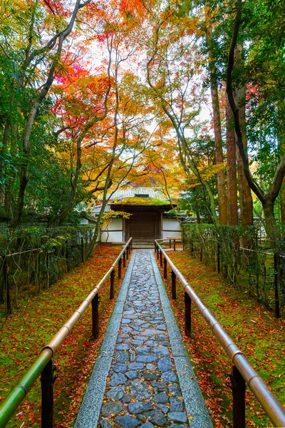Herfst bij de Koto-in een Sub-tempel van Daitokuji tempel in Kyoto, Japan — Stockfoto