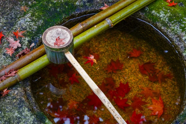 Immergitore d'acqua su un bacino di pietra al Tempio di Koto-in a Kyoto, Giappone — Foto Stock