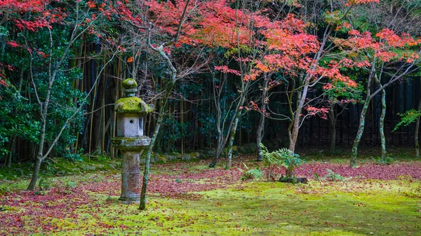 Herbst bei koto-in einem Untertempel des daitokuji-Tempels in kyoto, Japan — Stockfoto
