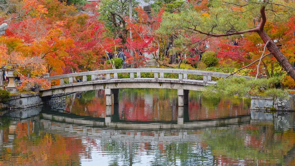 日本京都 Eikando 禅林寺寺 — 图库照片