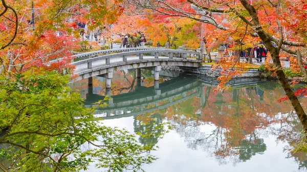 Eikando Zenrinji Rozciągacz w Kioto, Japonia — Zdjęcie stockowe