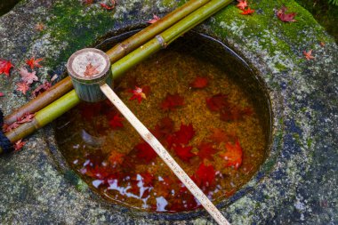 su Kepçe üzerinde bir taş Havzası tapınağında koto içinde kyoto, Japonya