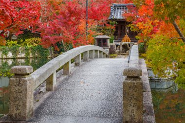 Eikando Zenrinji Tapınağı: Kyoto, Japan