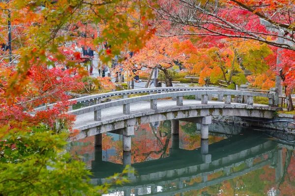 Храм Эйкандо Дзенриндзи в Киото, Япония — стоковое фото