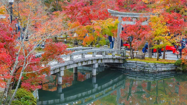 Eikando Zenrinji Rozciągacz w Kioto, Japonia — Zdjęcie stockowe
