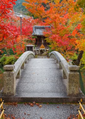 Eikando Zenrinji Tapınağı: Kyoto, Japan