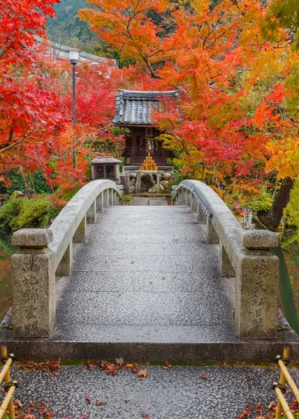 Eikando zenrinji Tempel in Kyoto, Japan — Stockfoto