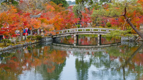 Eikando Zenrinji Rozciągacz w Kioto, Japonia — Zdjęcie stockowe