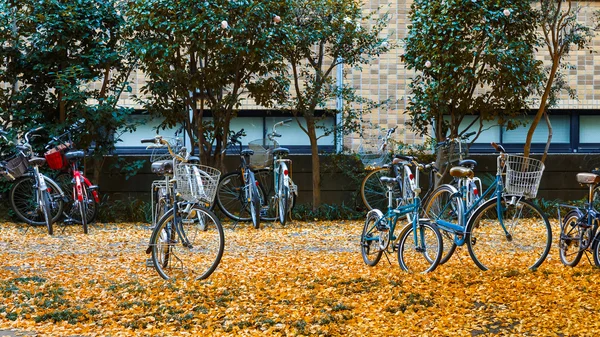 Podzim na Tokijské univerzitě — Stock fotografie