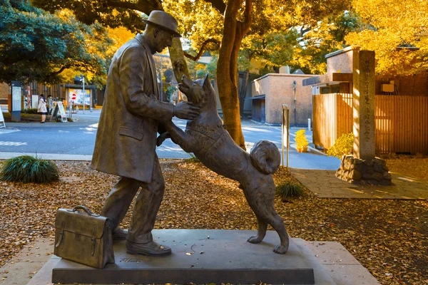 Hachiko avec la statue du Dr Hidesaburo Ueno — Photo