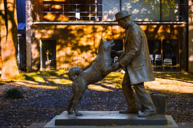 Hachiko Tokyo Üniversitesi'nde Dr. Hidesaburo Ueno heykeli ile
