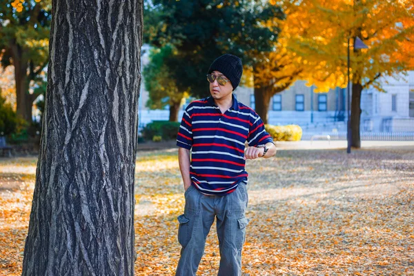 An Asian Man Stands under a Yellow Ginkgo Tree in Autumn — Stock Photo, Image