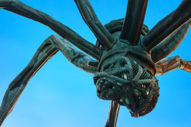 Maman - örümcek heykel Roppongi Hills