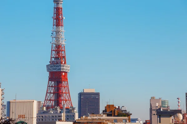 Tour tokyo au Japon — Photo