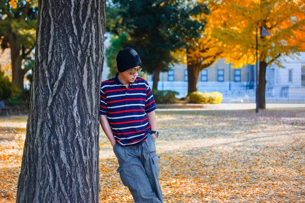 Ein asiatischer Mann steht im Herbst unter einem gelben Ginkgo-Baum — Stockfoto