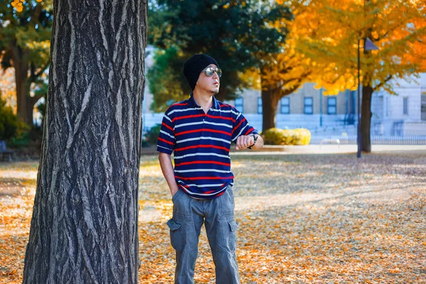 Ein asiatischer Mann steht im Herbst unter einem gelben Ginkgo-Baum — Stockfoto