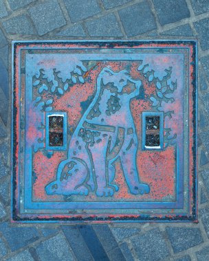 Hachiko kanalizasyon kapağı Shibuya istasyonu
