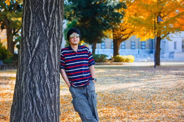 An Asian Man Stands under a Yellow Ginkgo Tree in Autumn — Stock Photo, Image