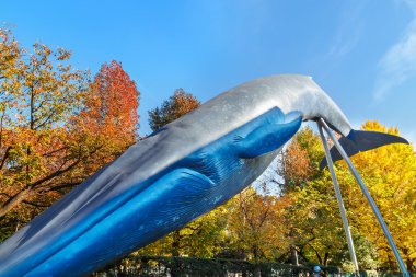 Doğa ve Bilim Tokyo Ulusal Müzesi