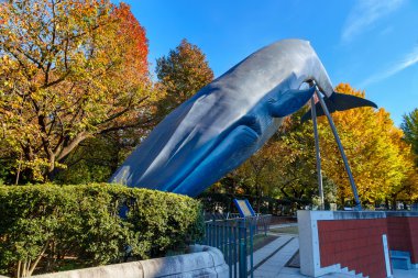 Doğa ve Bilim Tokyo Ulusal Müzesi