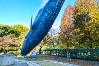 Ulusal Müzesi doğa ve Bilim Tokyo, Japonya